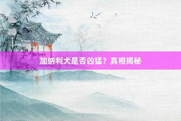 加纳利犬是否凶猛?真相揭秘