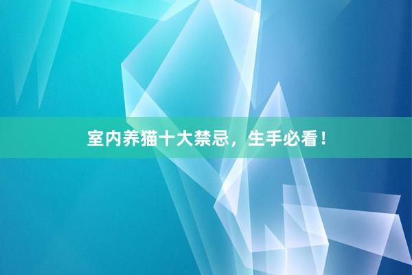 室内养猫十大禁忌，生手必看！